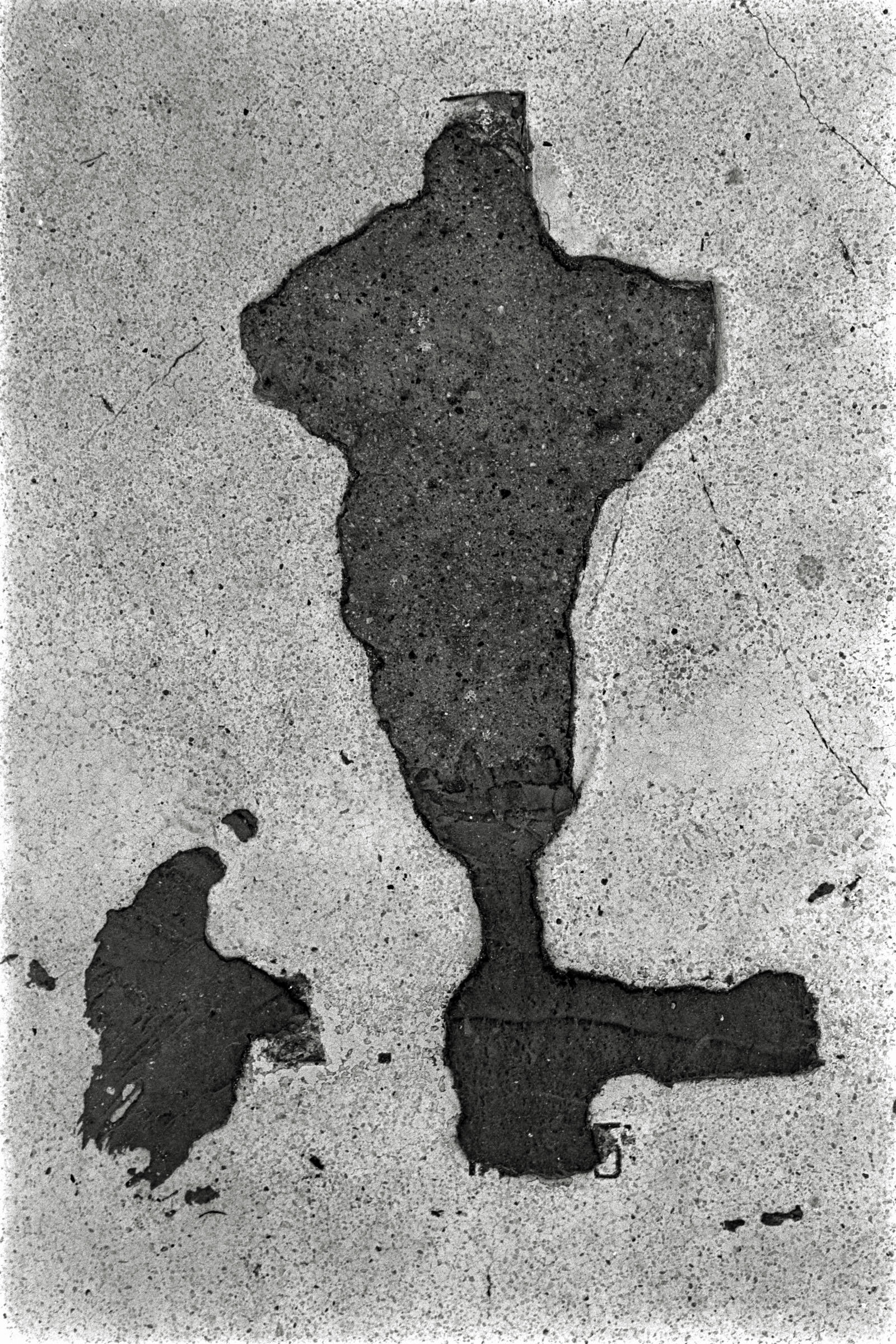 AHP F1991 09 003 sc240914 img26 NLP